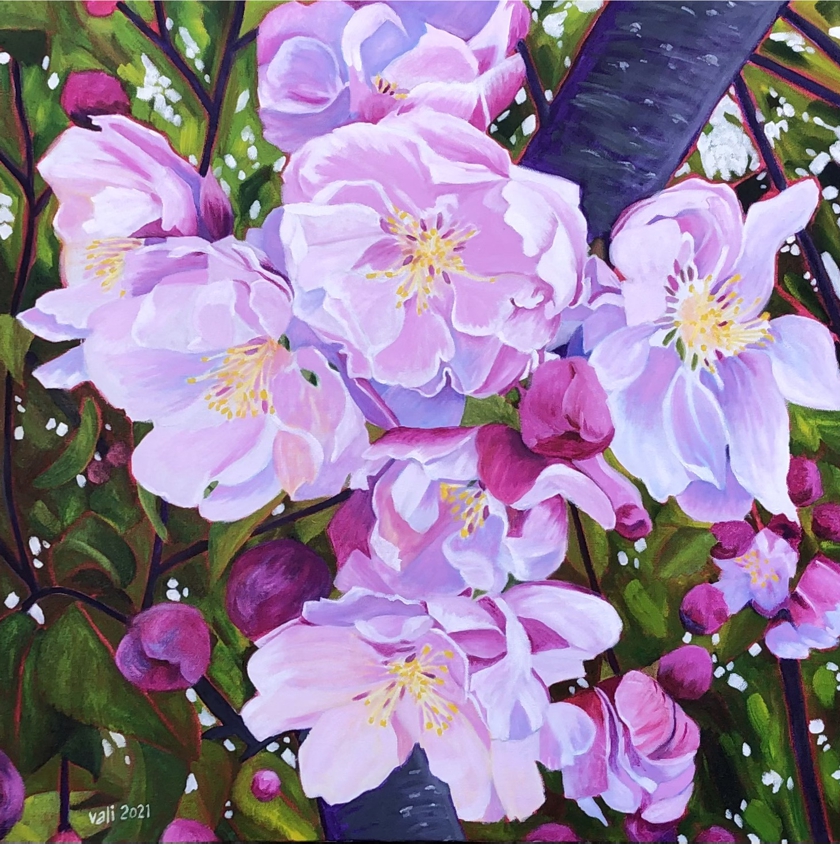 In Six Months There'll be Apples