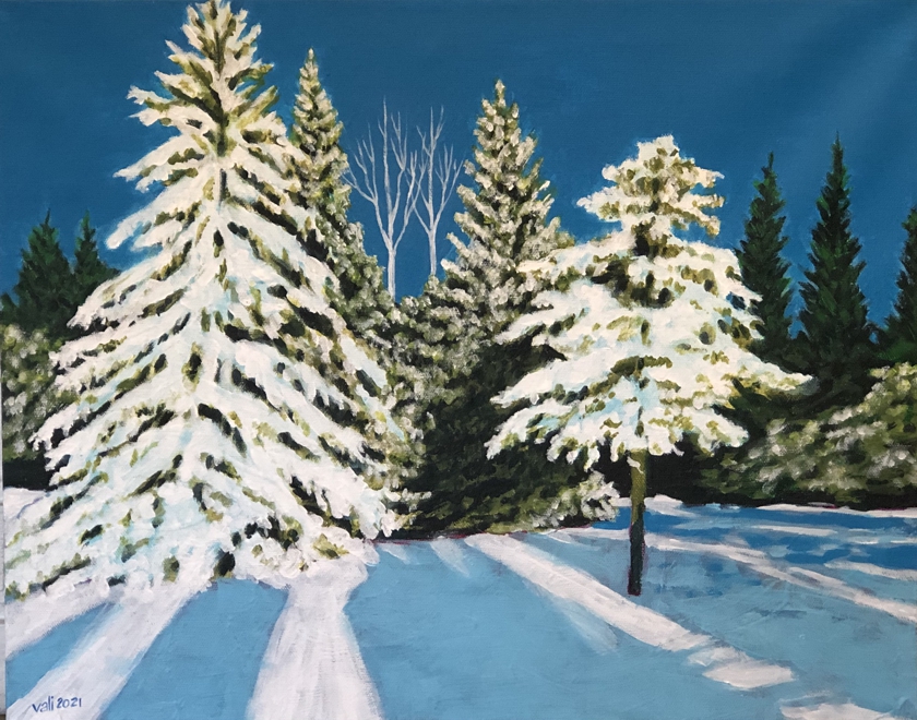 Frosted Boughs & Cerulean Skies